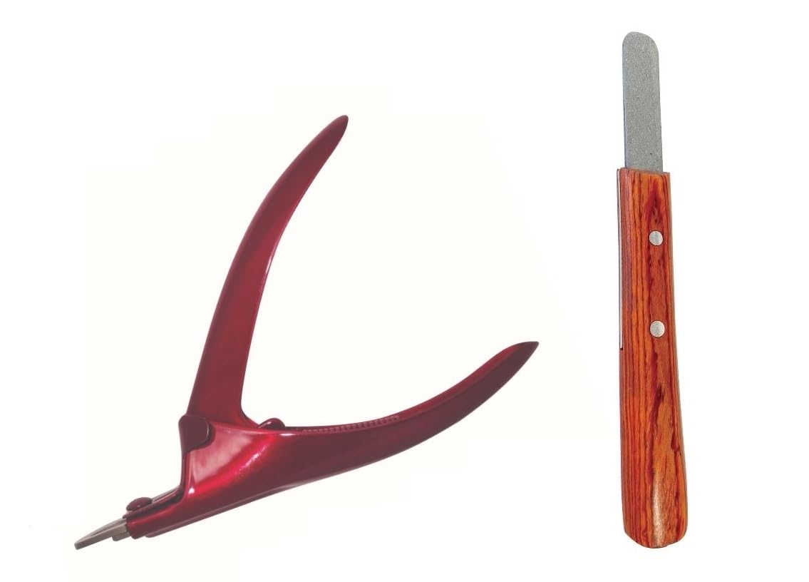 ������̵���ۤ��ˤ��factory ��������ɥ䥹������ڤ�Υ��åȾ��� ������å�