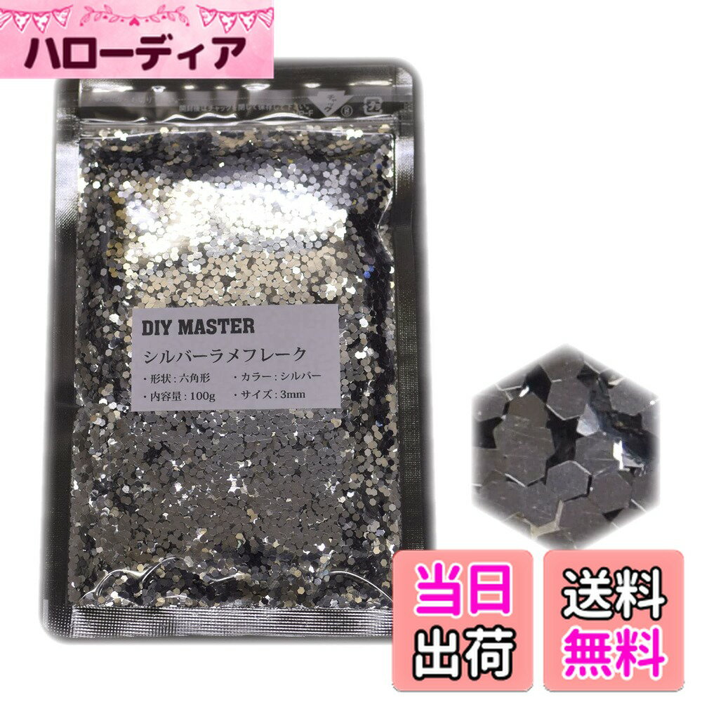 【送料無料】DIY MASTER レインボー ラメ フレーク 0.4mm 50g 色：5.シルバーラメフレーク、サイズ：08.【3mm】100g