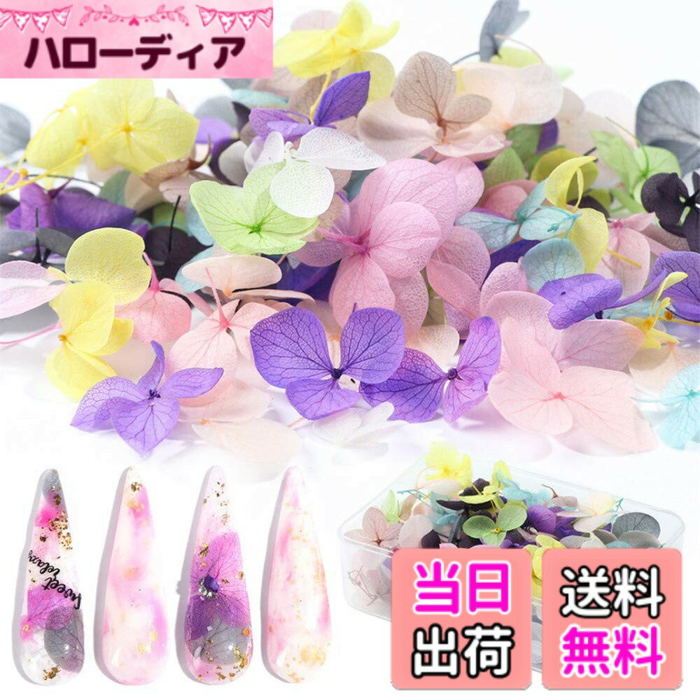 【送料無料】1バッグ ドライフラワー レースのような柄 天然の押し花 ネイルやハンドクラフトにも使える ジェルネイル用デコ 素材 ネイルパーツ 色：50pcs、サイズ：50個 (x 1)