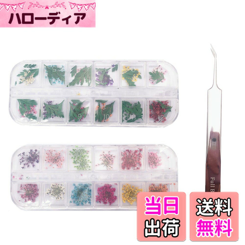 【送料無料】人気押し花 レジン ネイル 60枚 ドライフラワー ネイル押し花 上質ネイルアートパーツ レジンアートやネイル素材に 色：カラフル、サイズ：3個アソート