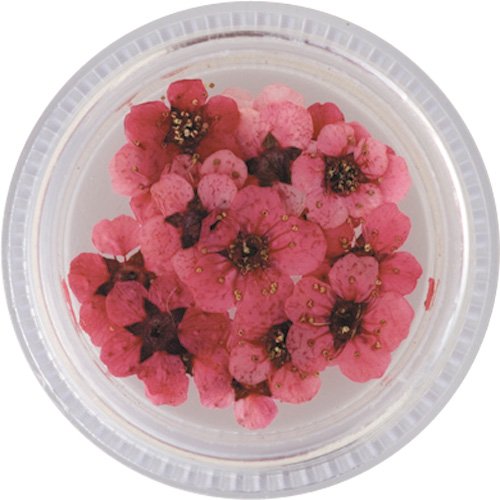 【送料無料】ビューティーネイラー ネイル用パウダー 黒崎えり子ジュエリーコレクション メタルブリオ..