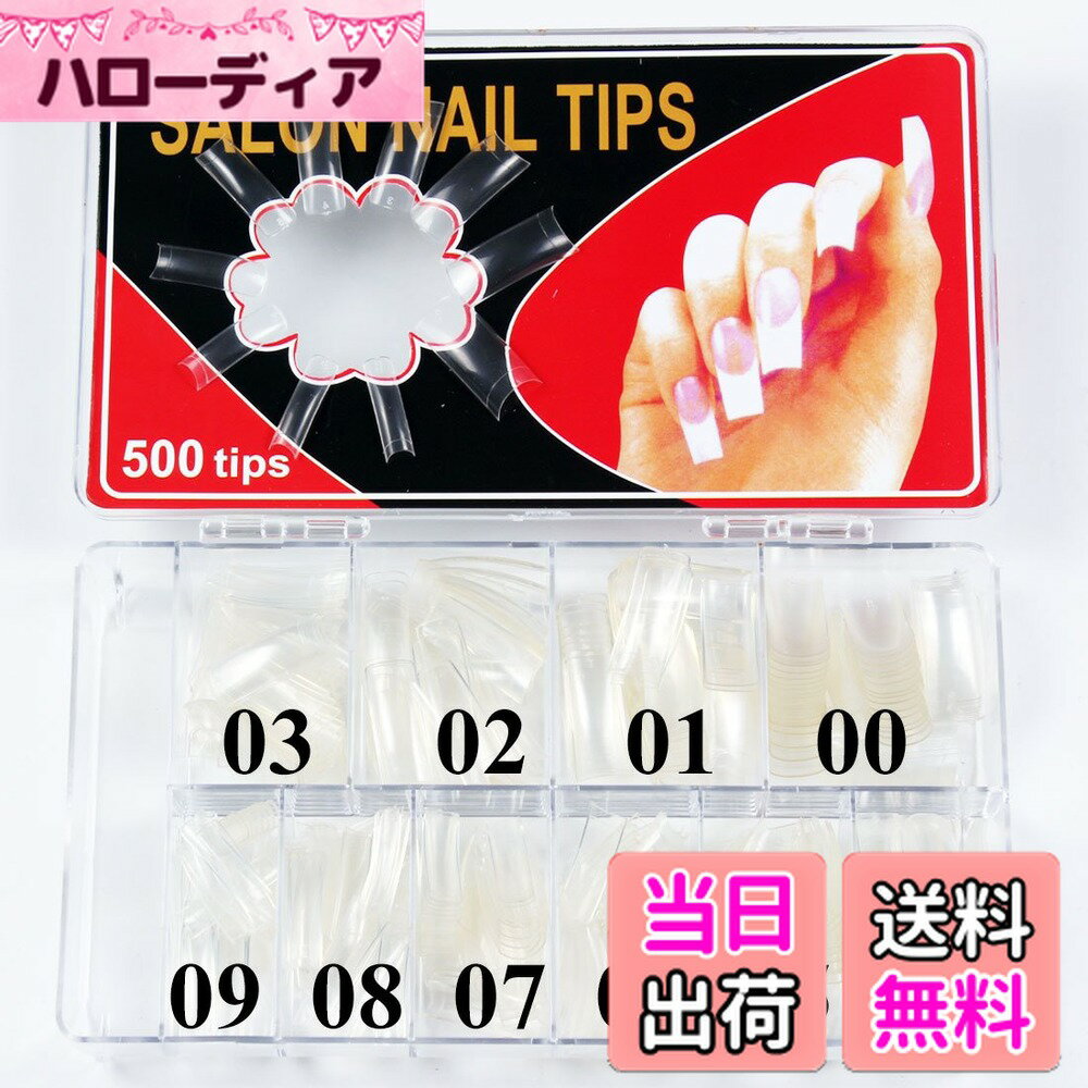 【送料無料】FingerAngel クリアネイルチップ 10サイズx50枚 プラスチックケース付き 練習用ネイルチップ 使いやすいネイルチップ ネイルサロンも自宅も使えるネイルチップ