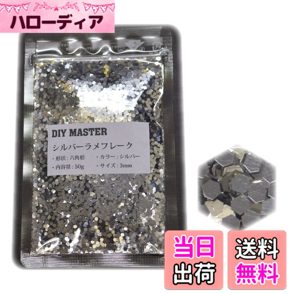 【送料無料】DIY MASTER レインボー ラメ フレーク 0.4mm 50g 色：5.シルバーラメフレーク、サイズ：08.【3mm】50g
