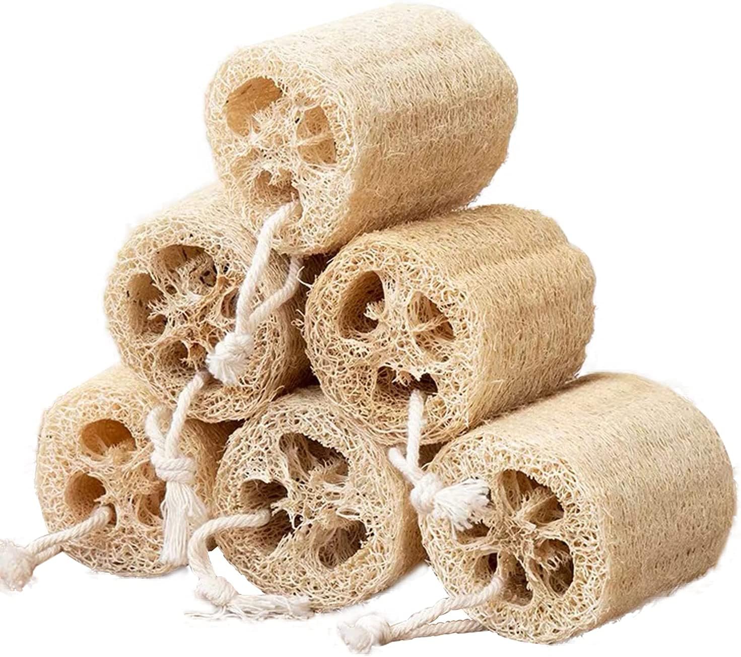 【送料無料】ADESUGATA 6点セット 天然ヘチマスポンジ シャワーボール オーガニックヘチマセグメント ..