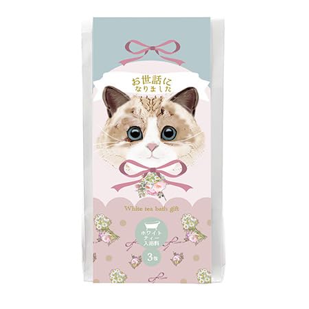 【送料無料】ほんやら堂 222 バスギフト チョコ 3P BTG31779 色：チョコ