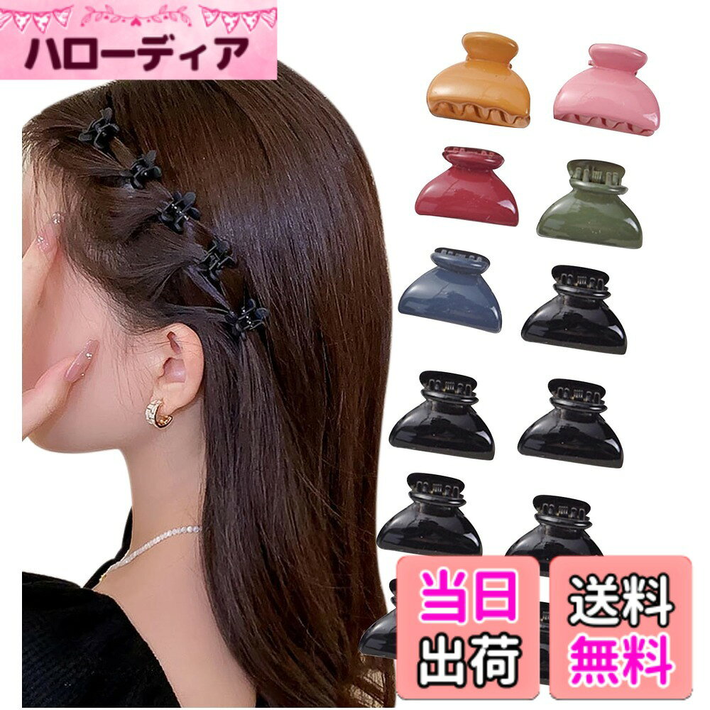 【送料無料】[Herbeluemily] ヘアクリップ ミニクリップ バンスクリップ 前髪クリップ ニュアンスカラー 12個セット 色：ニュアンスカラー