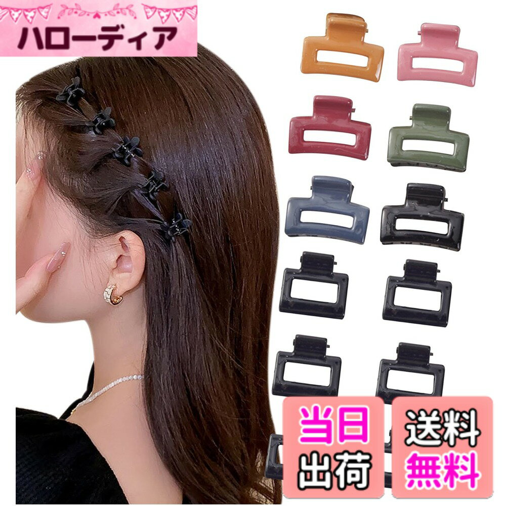 【送料無料】[Herbeluemily] ヘアクリップ ミニクリップ バンスクリップ 前髪クリップ ニュアンスカラー 12個セット