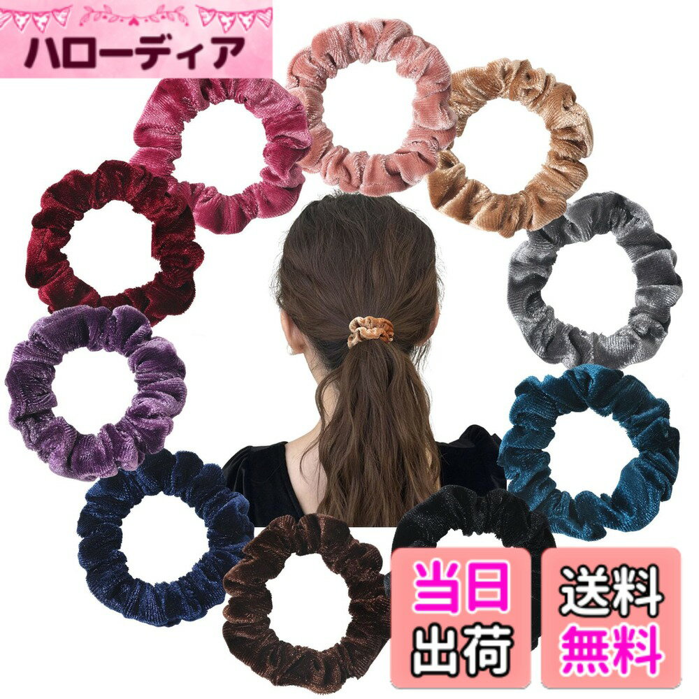Hair Rubber Band - 【送料無料】shefun ベロア シュシュ 大人 小さめ10個セット 跡がつかない ヘアゴム レディース 髪ゴム ベルベット 可愛い おしゃれ ヘアアクセ 髪飾り JP231