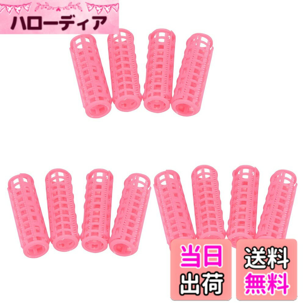 【送料無料】Ahvqevn 12 個 ピンク プラスチックDIY ヘアスタイリング ローラーカーラークリップ 色：ピンク