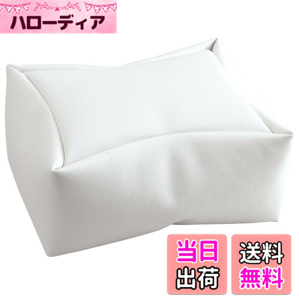 【送料無料】SpaLuce フット兼用アームレスト 色：ホワイト