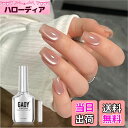 【送料無料】GAOY マグネットネイル ジェルネイル 単色 UV・LED対応 ポリッシュタイプ セルフネイル 初心者&プロ適用 色:アイシーヌード