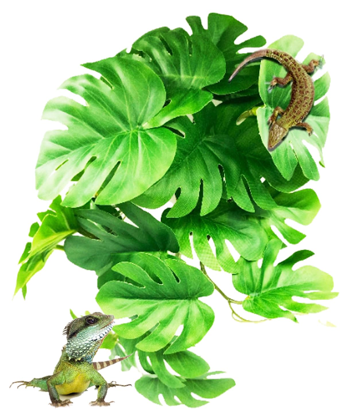 【送料無料】S.fields.inc 人工植物 爬虫類ケージ用 ビバリウム 水槽 葉 両生類 カメ カエル 吸盤付き ペット用品 色：モンステラ、サイズ：25x25x5cm