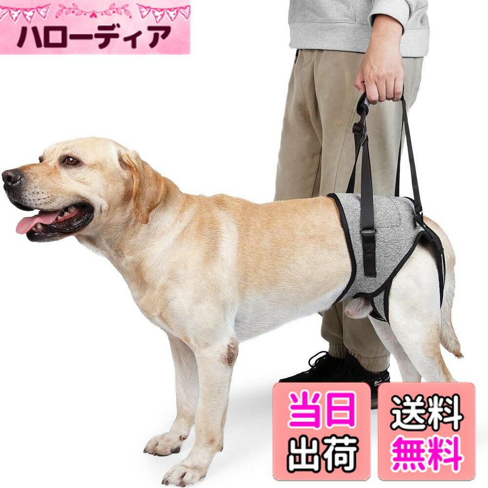 ������̵����Refoiner �� �ϡ��ͥ� �� �������ϡ��ͥ���­�ѥ��ݡ��ȸ� ��� �ϡ��ͥ���ô�����ʤ� ���θ��������ȥ�å׸� ���� ������ �淿�� ��...