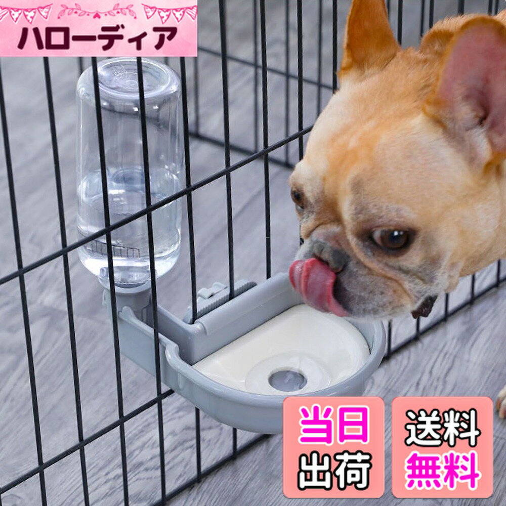 ������̵����Refoiner �� ����ߴ� ���� ǭ ����ߴ�ڥåȼ�ư���� �� ���ܥȥ� ���Τߤ��Τߴ盧�ܤ�ʤ� �������Ѹ��ѿ����졦�����������ܥȥ�...