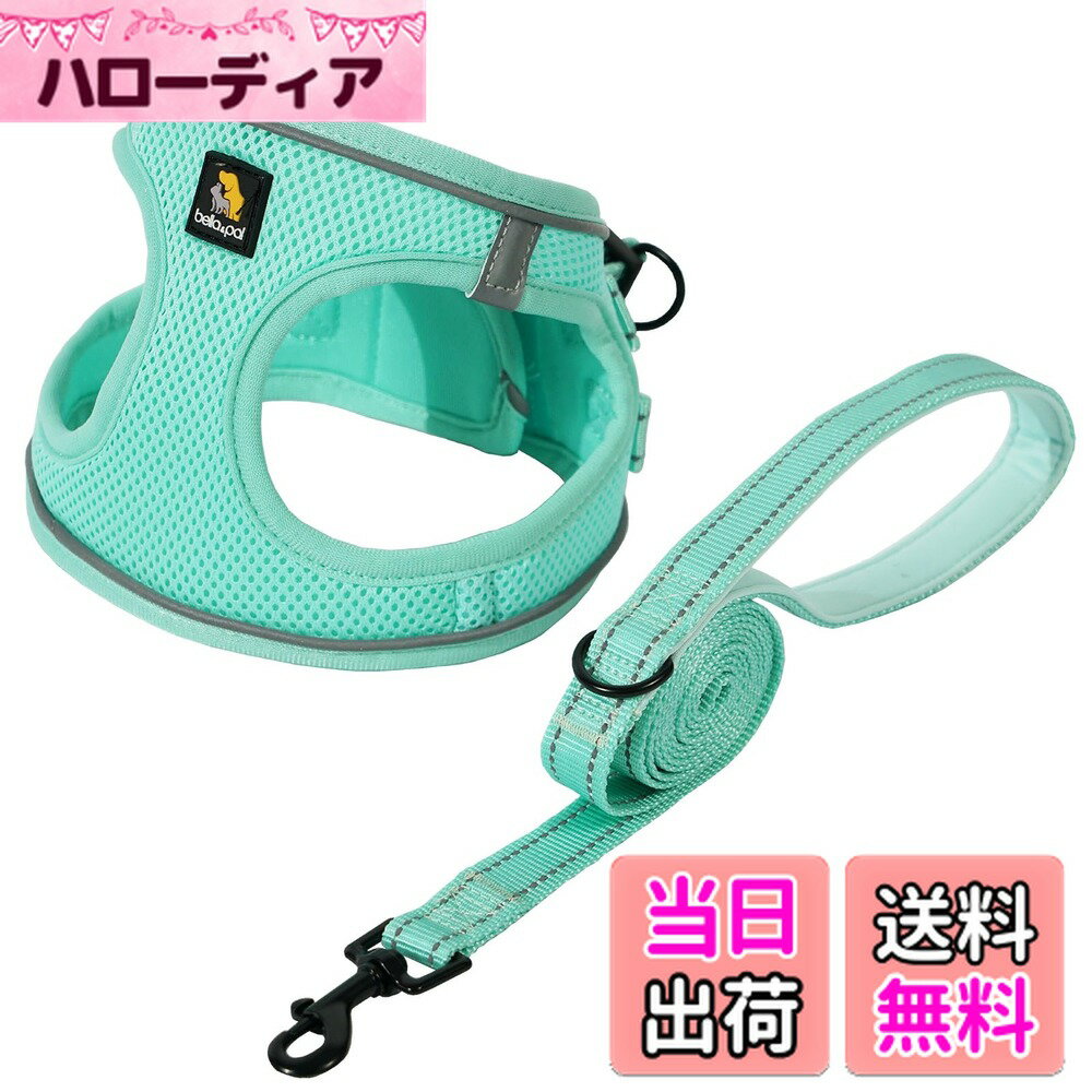 【送料無料】BELLA & PAL 犬用 ハーネス リード セット 小型犬 超小型犬 猫用ハーネス 胴輪 引っ張り防止 サイズ調整可能 夜間反射 脱着簡単 散歩用 耐久性 通気性 ソフト メッシュ (ミントグリーン, XS)