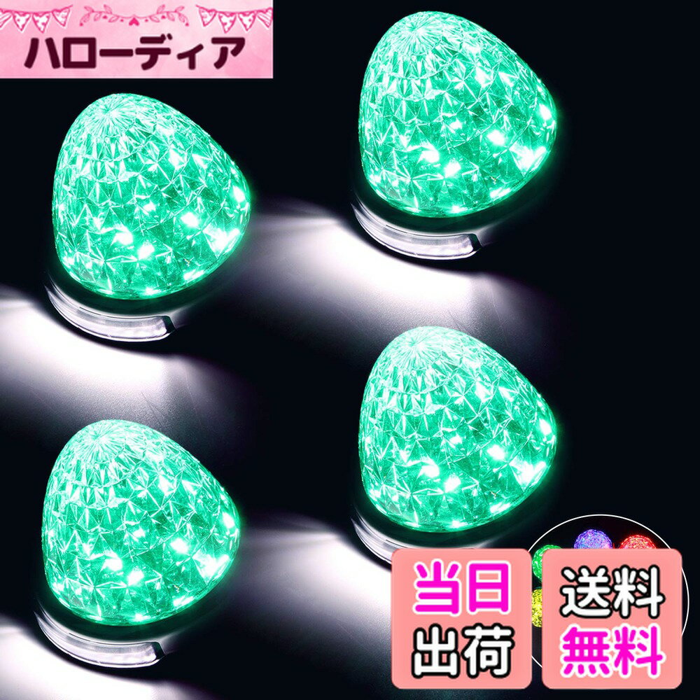 ������̵����REPTICO LED�����ɥޡ��������� 24V �ȥ�å��� ϩ���� ���꡼�� Green���ꥢ��� 8�̥��ꥹ���륫�å� LED�ޡ����� ����...