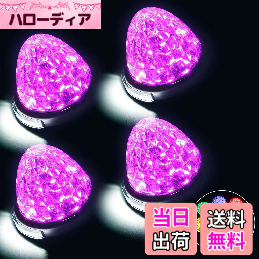 ������̵����REPTICO LED�����ɥޡ��������� 24V �ȥ�å��� ϩ���� �ԥ� Pink���ꥢ��� 8�̥��ꥹ���륫�å� ����LED�ޡ����� ����...