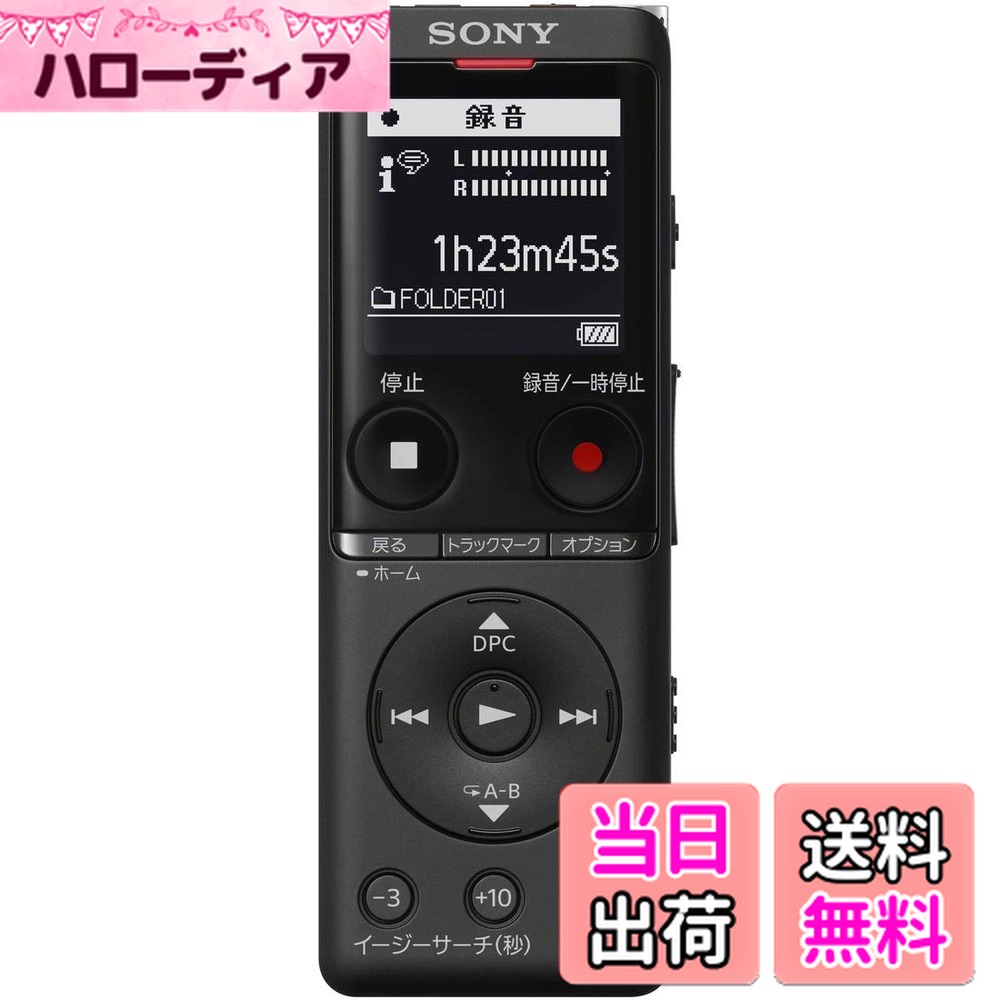 【送料無料】ソニー IC