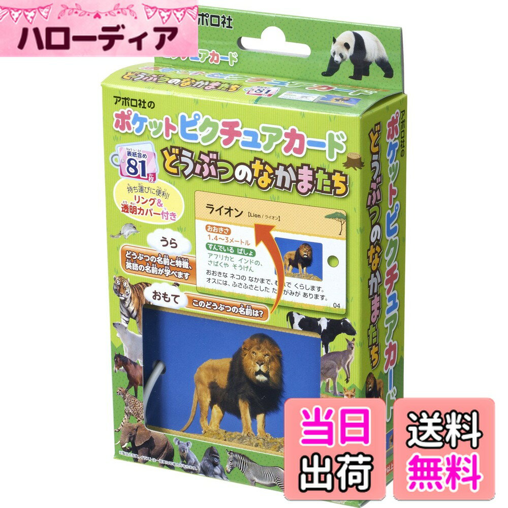 【送料無料】エポック社 【ポケットピクチュアカード】 どうぶつのなかまたち 08-305 リング&透明カバ..