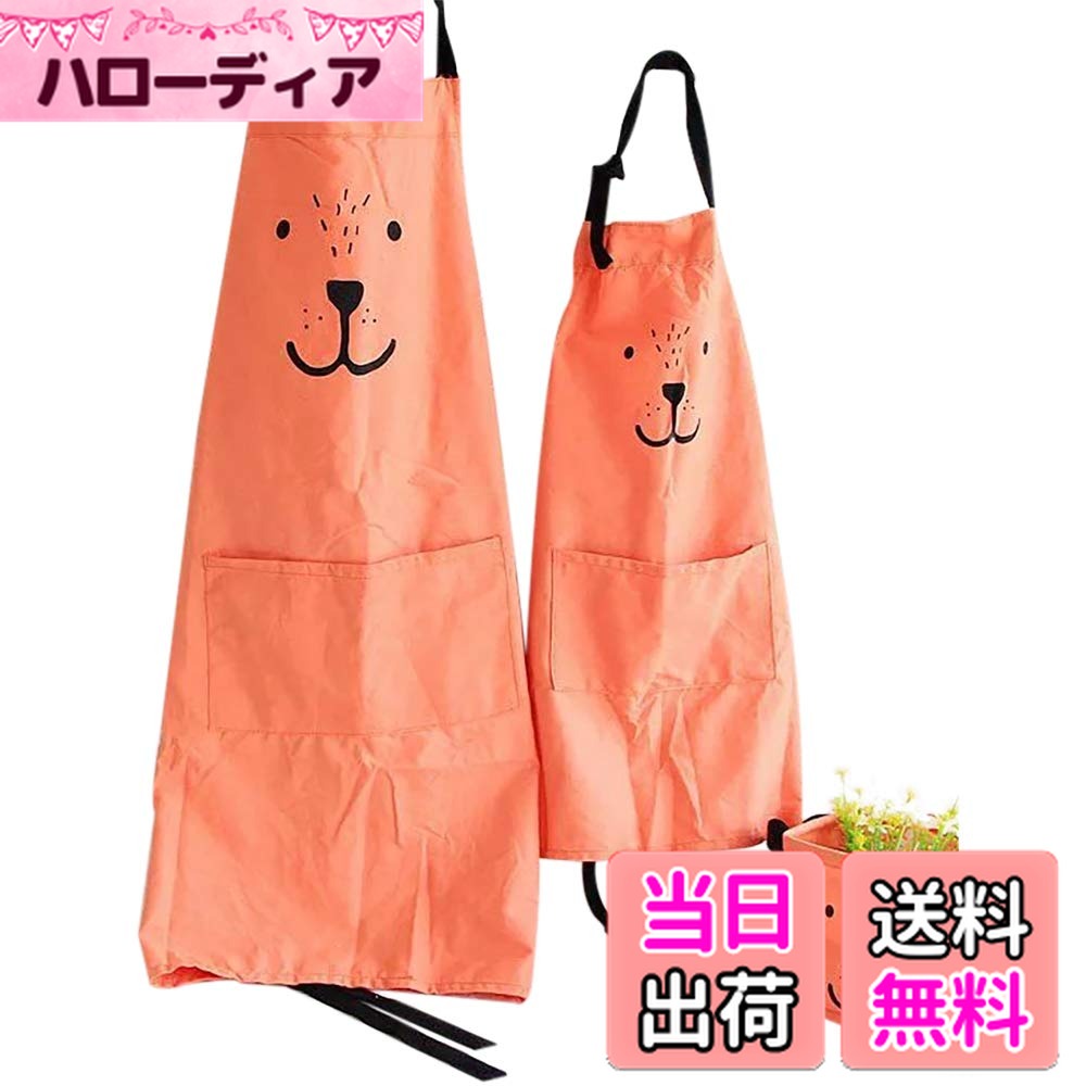 ������̵����[Lumierechat] ���ץ��� �ƻ� �ƻҥ��ץ��� �ڥ� ��·�� ���� ����� �Ҷ��� �ع� �ݰ�� ���ձ� 2�� ���å� a-b1509 (...