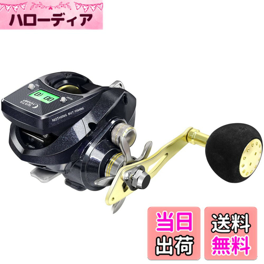 楽天市場】ワタチャン ベイトリールの通販