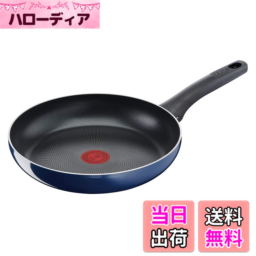 ������̵���ۥƥ��ե����� �ե饤�ѥ� 26cm �������б� �֥������֥롼������ƥ� �ե饤�ѥ�� ���Ӥ�Ĥ��ˤ��� �֥롼 D52105