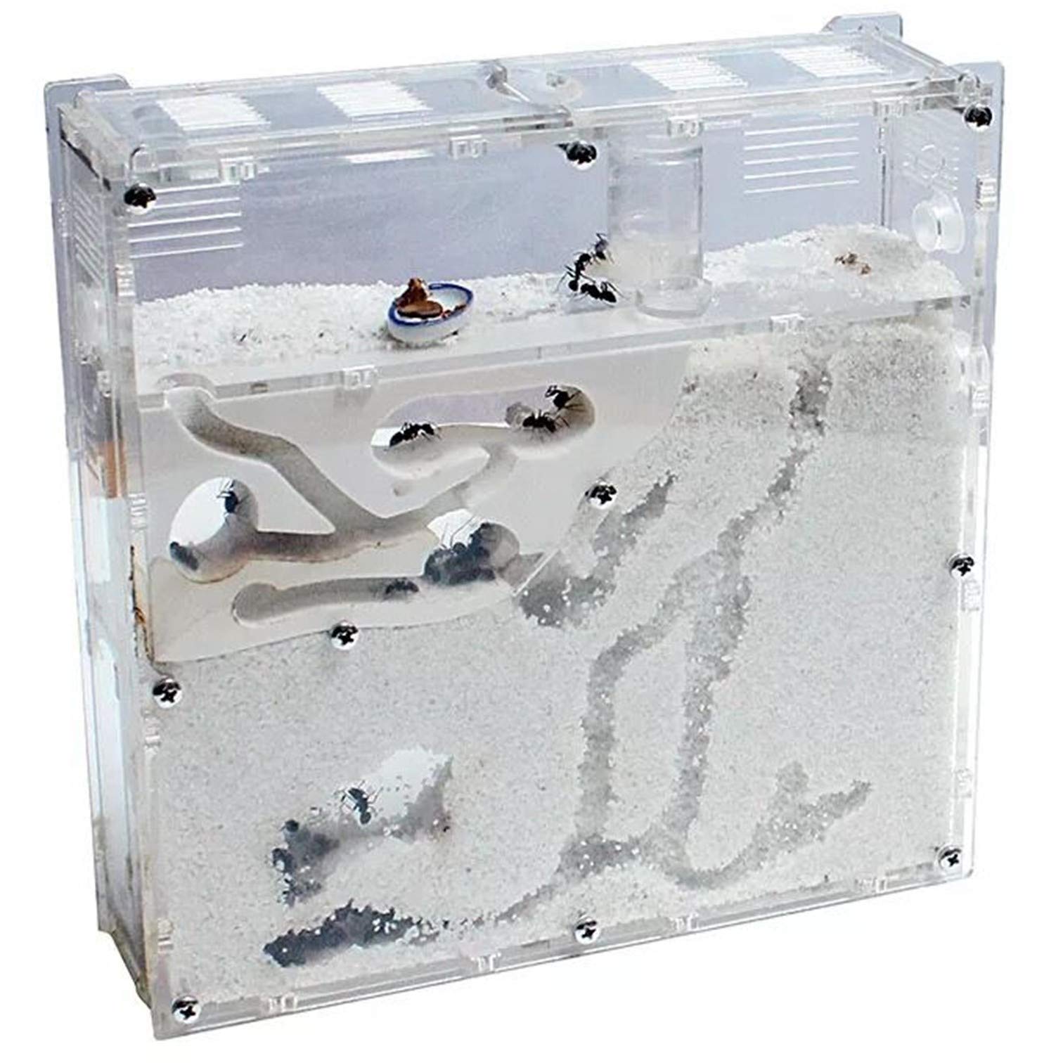 【送料無料】EXDUCT アリ 自由研究 飼育ケース 飼育セット 水槽 砂 観察 アリの巣 キット 女王アリ 飼育