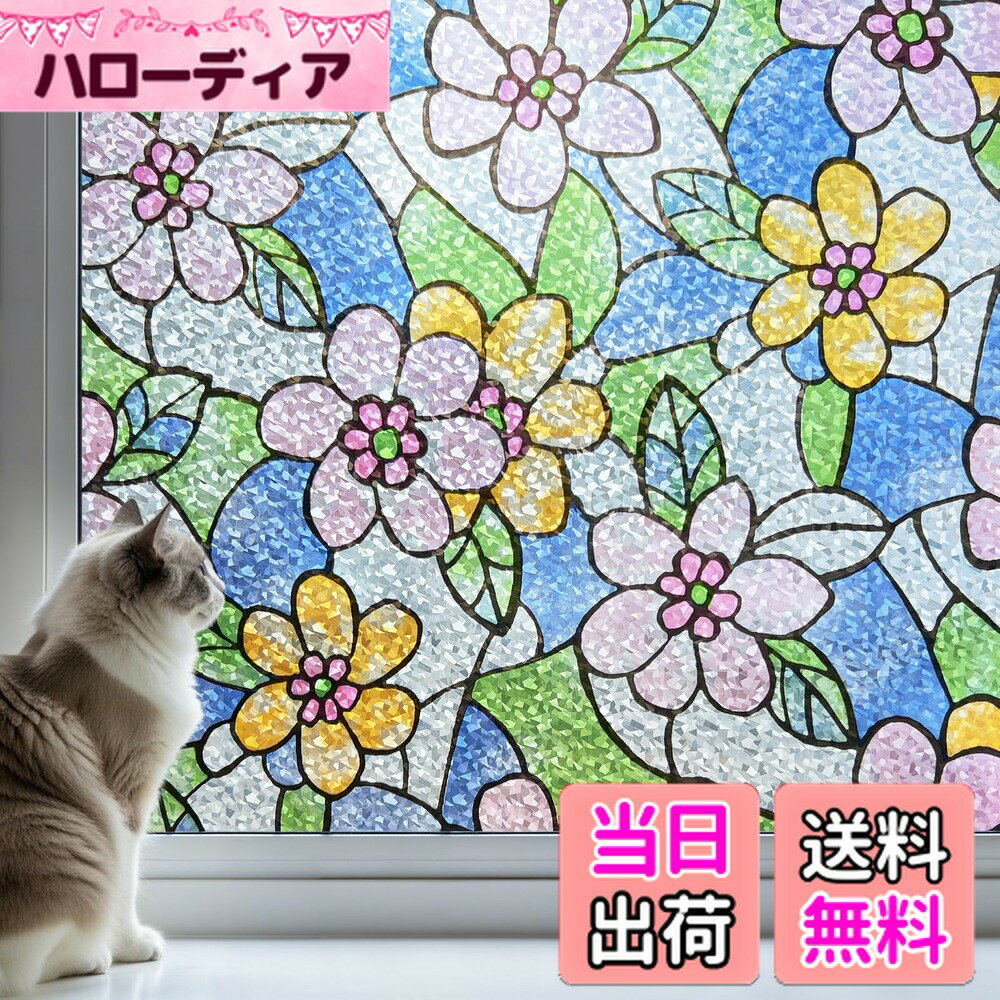 ������̵����DUOFIRE �륬�饹�ܱ����ե���� �ܱ��������� �� �ե���� ���Ž�� �������� ��Ǯ��Ǯ ��Ϫ�ɻ� uv���å� �� �ᤫ���������� ���� ��...