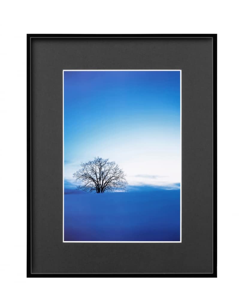 【送料無料】ハクバ HAKUBA 軽量 額縁 ZEROフレーム G-01 A4 ブラック FZG01-A4BK