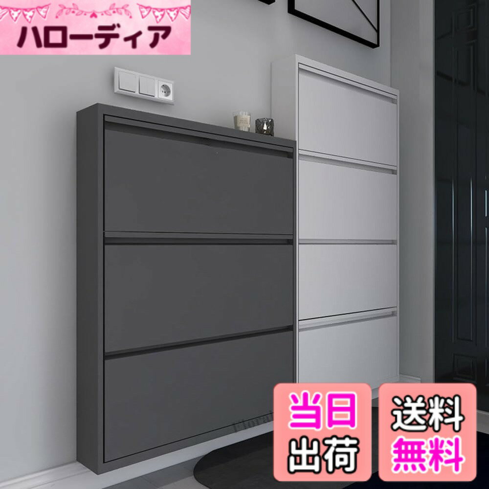 【送料無料】Floralies 下駄箱 スリム 薄型 完成品 斜め置き スチール製 下駄箱 奥行15.2cm 4段シュー..