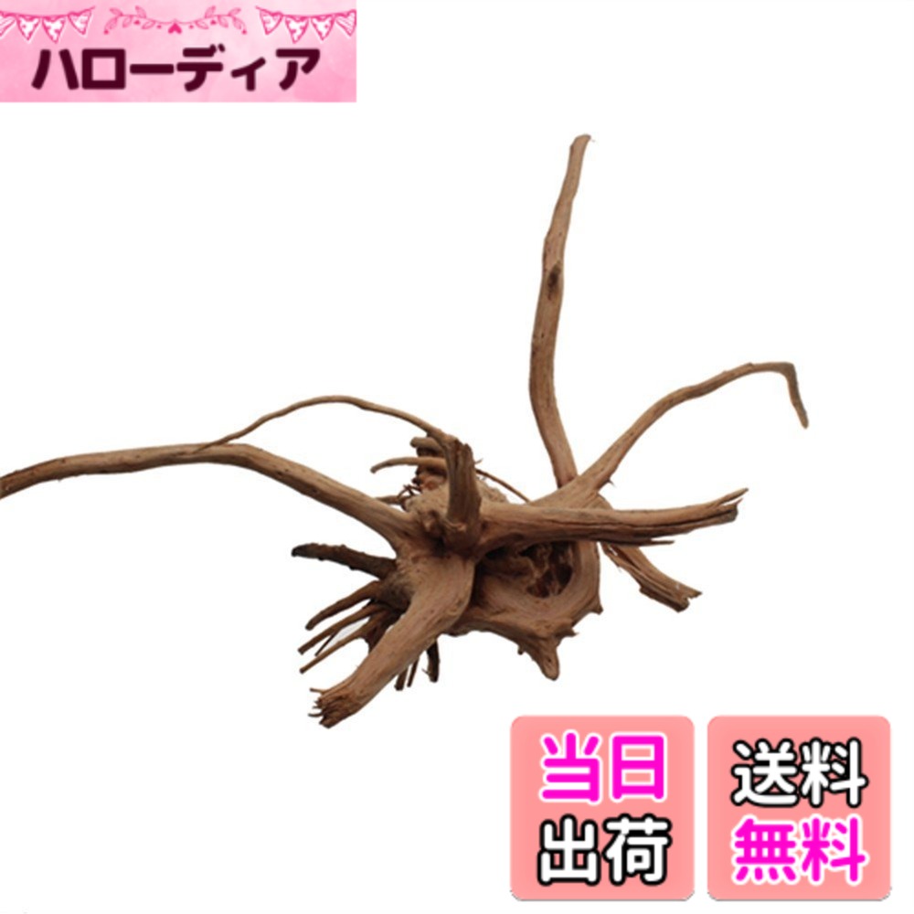 【送料無料】水族館シンクエイブル流木水槽の装飾流木 アクアリウム 内装 水景 アイテム テラリウム  ...