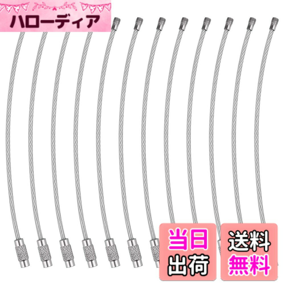 【送料無料】[Wisdompro] ワイヤーキーホルダー ネジ式 ワイヤーキーリング キーチェーン ステンレス製 鍵収納 紛失盗難防止 11cm 12本セット シルバー