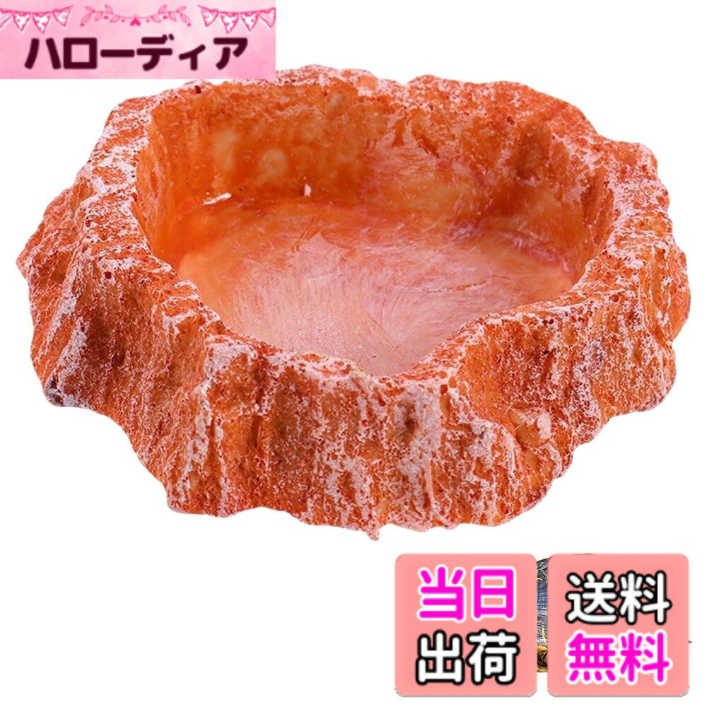 ������̵����PAVIKE ����� ������ ����� ������ �ȥ��� ���쥹�ƥåɥ��å��� ������ ���� ������� ����߻� ������ ��Τ褦��...