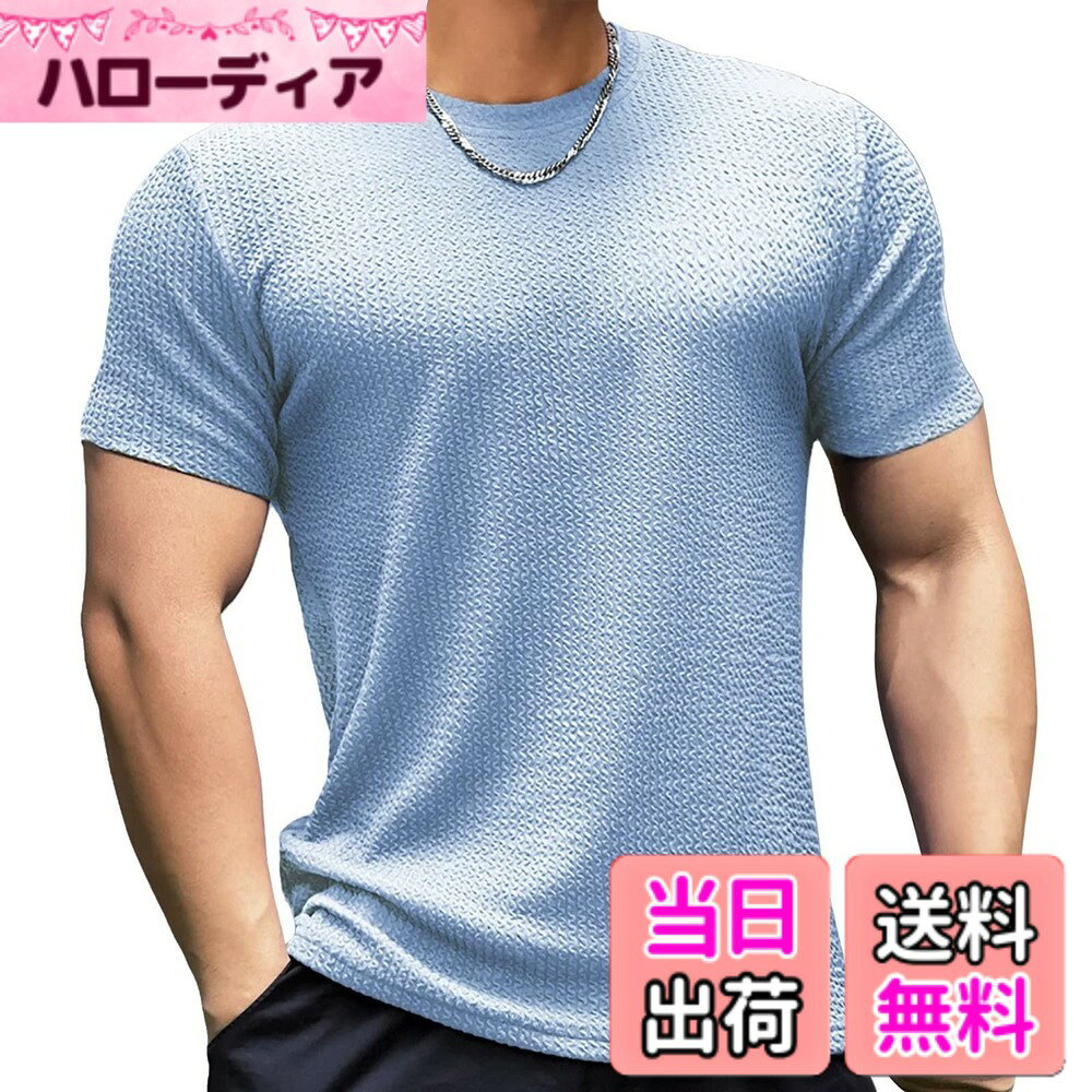 【送料無料】[Anmur] ジムtシャツ 半袖 メンズ 筋トレ ストレッチ フィットネス トレーニング スポーツ おしゃれ 吸汗 通気 速乾 半袖 ブルー-L