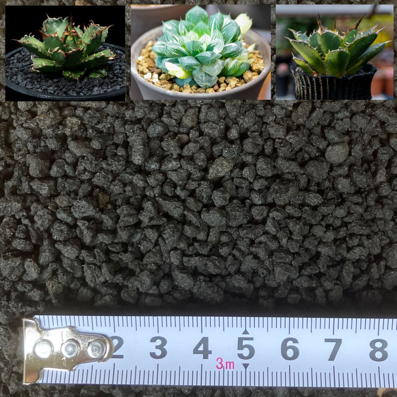 【送料無料】Leap Raupe 【厳選ふるい済み】 富士砂 中目 アガベ 化粧石 化粧砂 黒 ノンウォッシュ (NW..