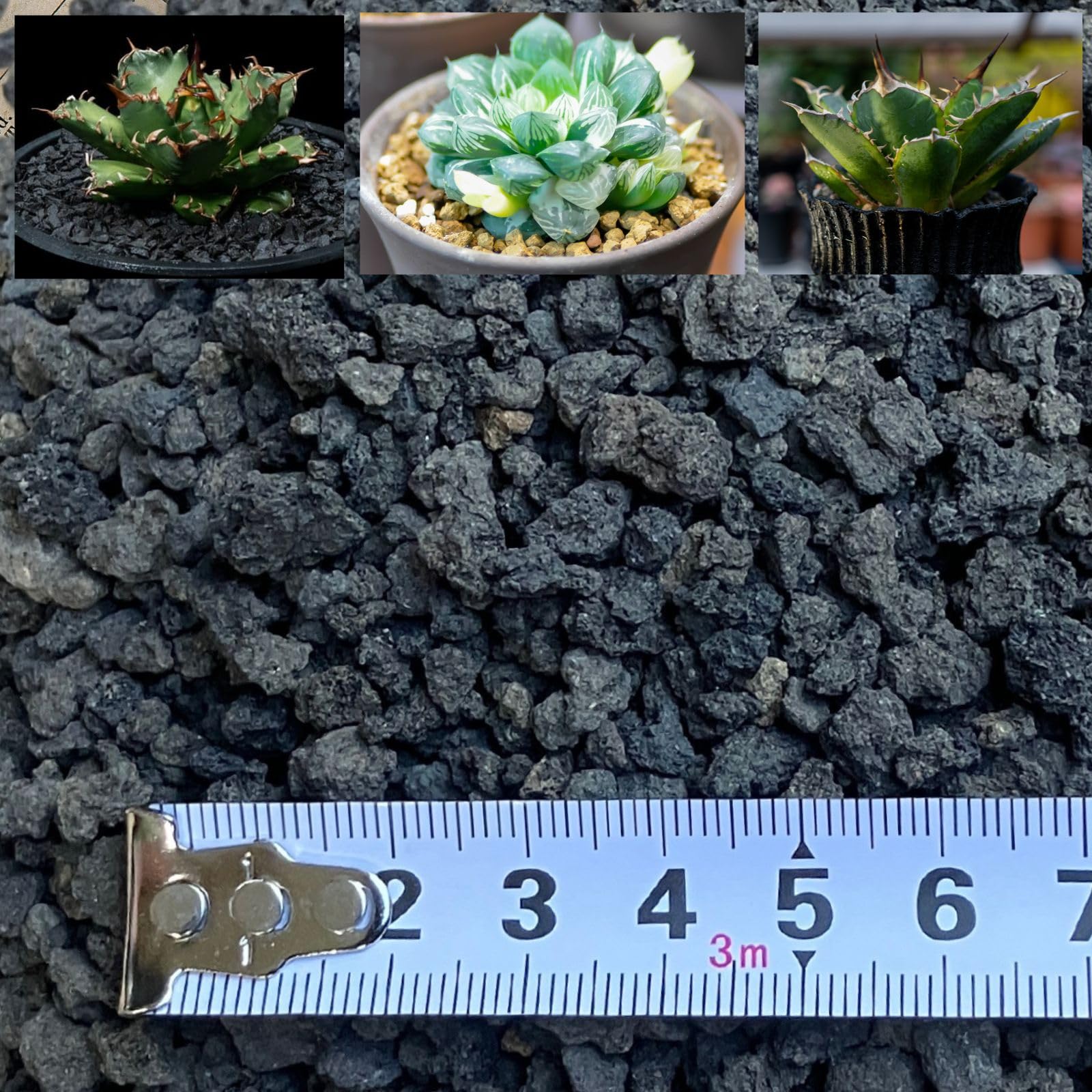 【送料無料】Leap Raupe 【厳選ふるい済み】 富士砂 アガベ 土 化粧石 化粧砂 黒 ノンウォッシュ (NW ..