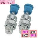 【送料無料】TVETE デコンプレッションバルブ 減圧バルブプラグ 圧縮リリース減圧バルブプラグ チェーンソー減圧弁アクセサリ 芝刈り機の交換部品 チェーンソー...
