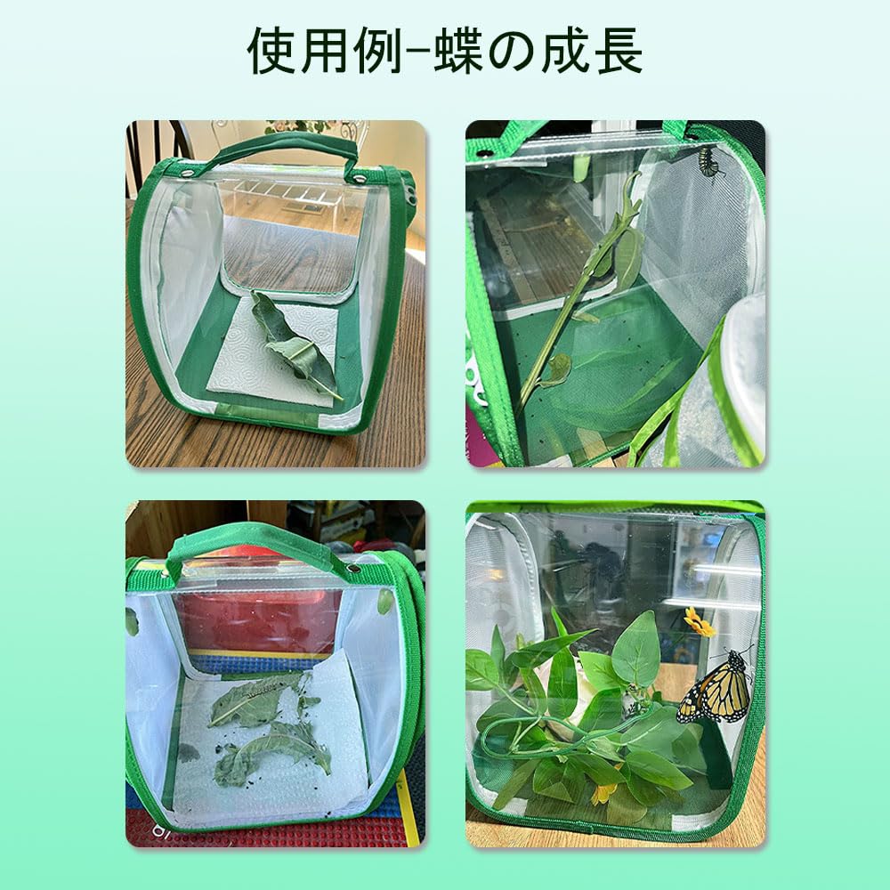 ������̵����Mikankawa ��� �������Ȣ ��ʪ������ �ޤ���� �̵������� ��å������ ������������ ����ѻ� ĳ �ȥ�� ������ (20*20*20cm)