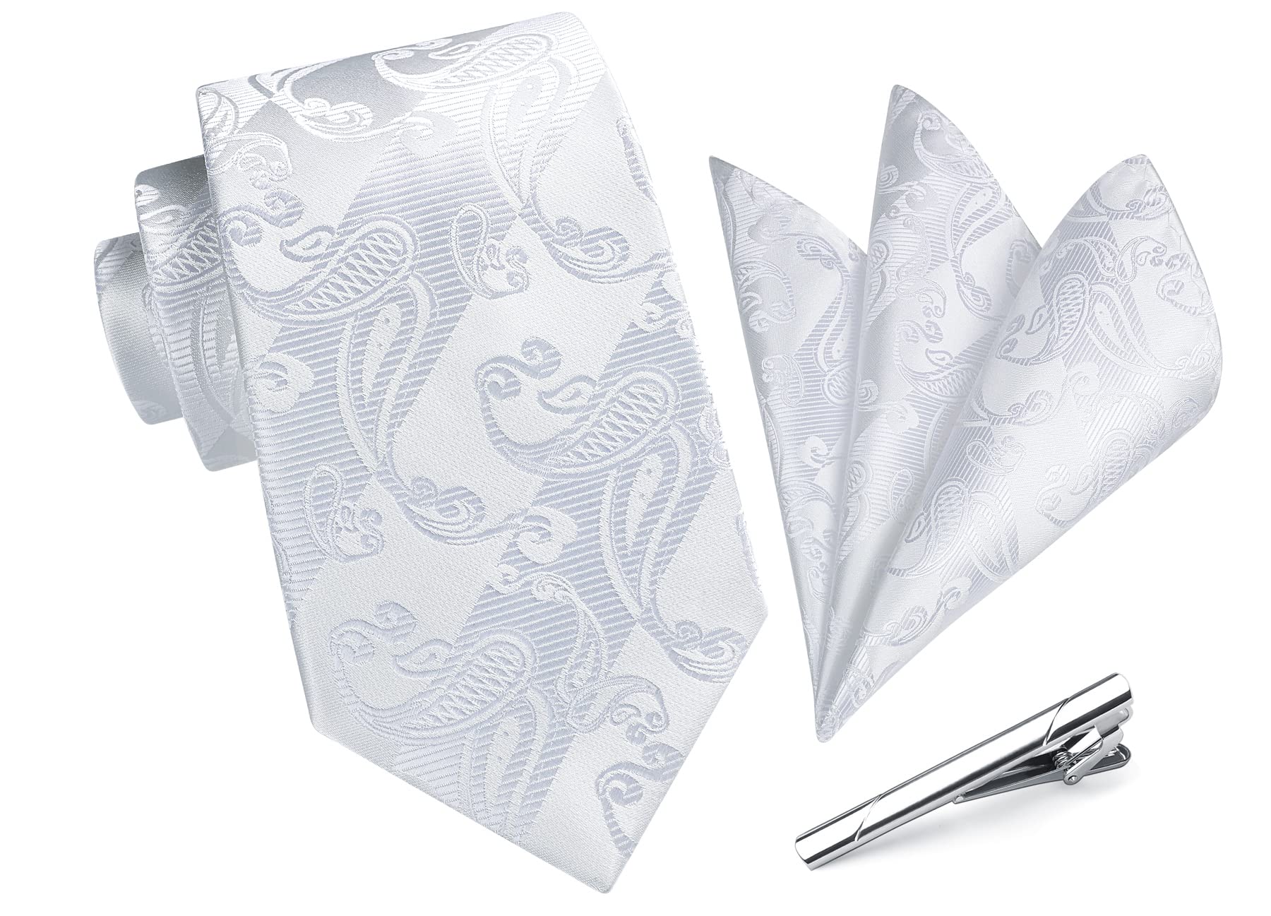 【送料無料】[HISDERN] ペイズリー ネクタイ シルバー 結婚式 メンズ ねくたい チーフ 3点セット プレゼント 高級 ボックス付き 慶事 披露宴 紳士 礼服 A3-03