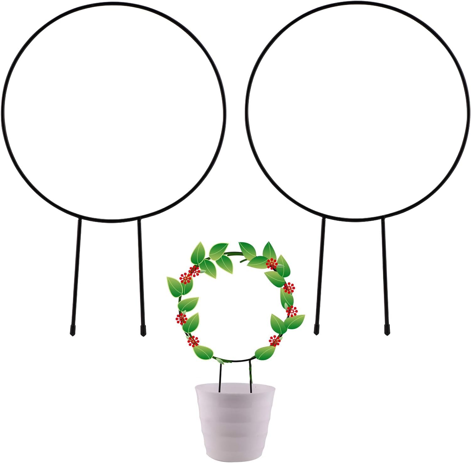 【送料無料】siawadeky 植物支柱 観葉支柱 2個セット 円形 観葉 つる植物 植物サポート 花支え DIY飾り用 植物成長方向誘引 バラ 薔薇 植木鉢用 フラワー支柱 農業用 園芸用 装飾用