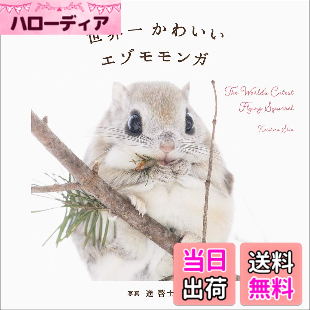 【送料無料】世界一かわいいエソモモンカ