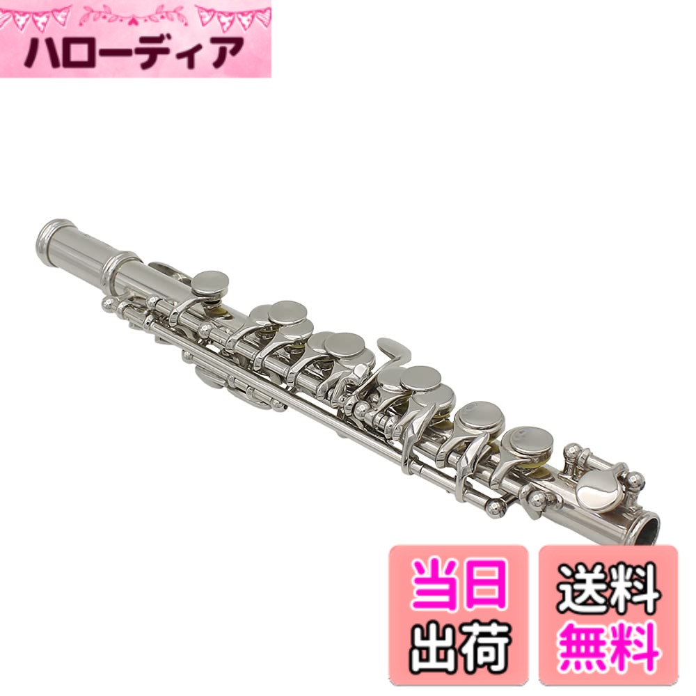 【送料無料】Cryfokt 16穴ピッコロ、教材用管楽器バンド演奏初心者(シルバー)、CRY...