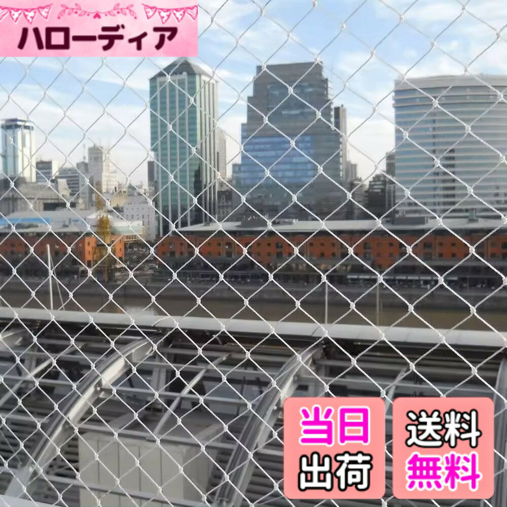 鳥よけネット3x5m （結束バンド 15本付き）SLEIJAOOE ベランダ 防鳥ネット 透明色で視界や日差しを遮らない 25mm網目で カラス 鳩 侵入防止 鳥害対策 防鳥網 ブルーベリーや野菜栽培や果樹などの守り鳩避けネット猫よけ 侵入 脱走防止