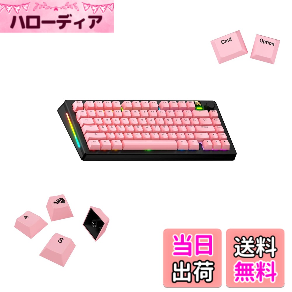 Glorious GPBT Basics Keycaps Potion Pink - US - Retail GLO-KB-ACC-KC-GPBT-BA-PPNK-US KB0861
