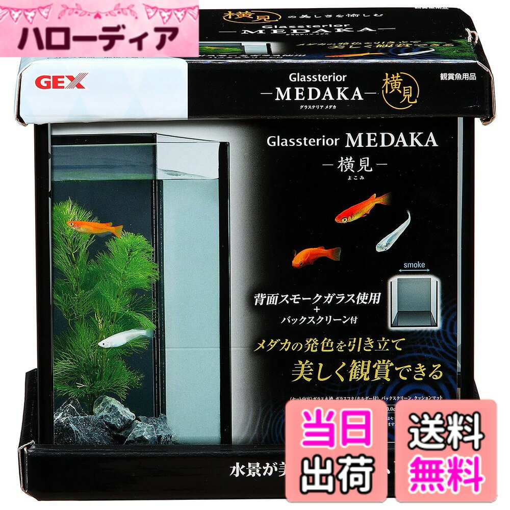 【送料無料】ジェックス グラステリア メダカ 横見 M サイズ