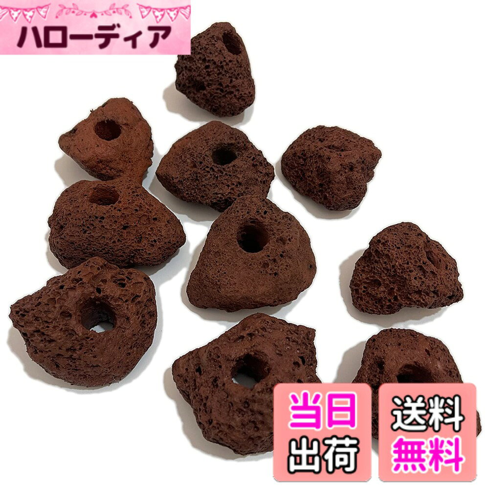 【送料無料】S-NET 溶岩 石 火山 岩 水槽 穴あき オブジェ 10個 セット アクアリウ...