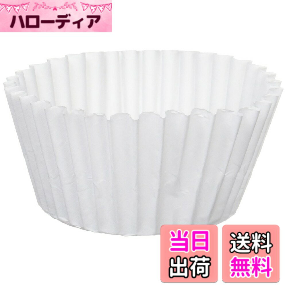 【送料無料】Kalita 業務用 コーヒーメーカー 濾紙 立ロシ 25cm 250枚入り #22001