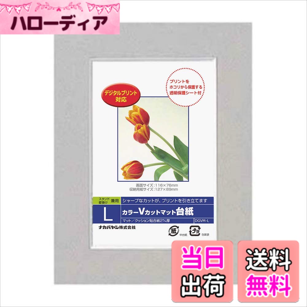 【送料無料】ナカバヤシ Digio「カラーVカットマット台紙」 Lサイズ グレー DGVM-L-N  ...