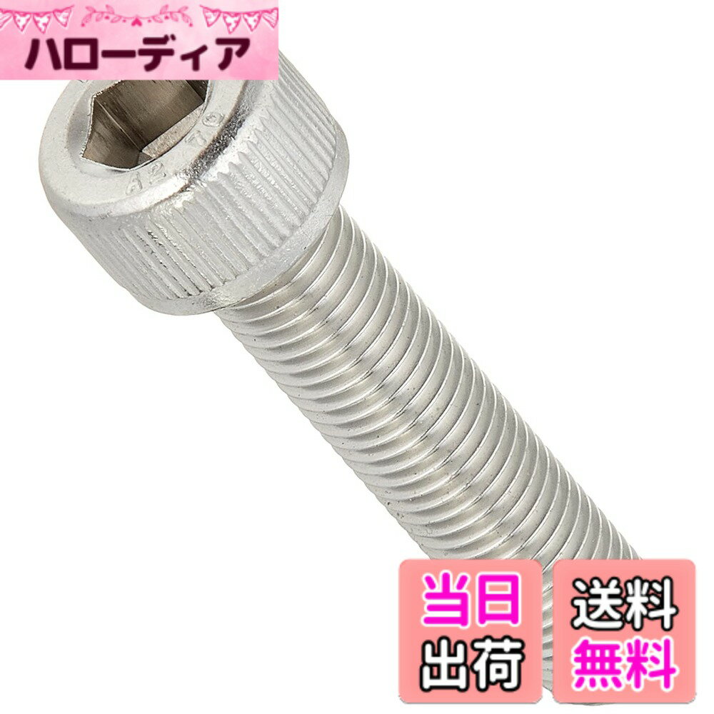 Snowmobile ATV · Trike - 【送料無料】キタコ(KITACO) キャップボルト(M10xP1.25x45mm) 汎用 1個入り ステンレス 0900-100-10006