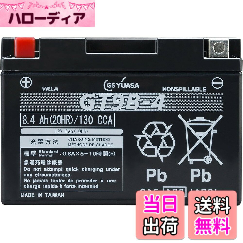 【送料無料】GSYUASAVRLA(制御弁式）YT/YTZ/YTX/GTシリーズ バイク用シールド型バ...